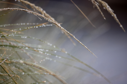 铃村爱里的代表作